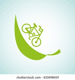 eco friendly  design 