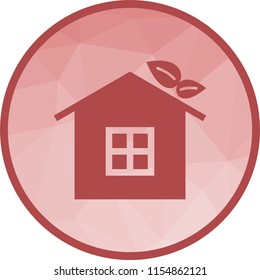 Eco friendly House