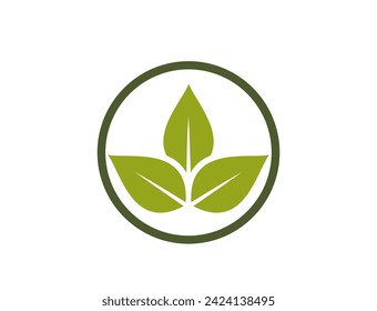 eco friendly icon. leaves in a circle. organic and bio symbol. isolated vector image in flat design