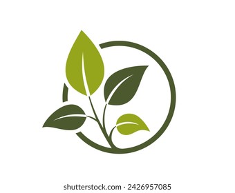 icono ecológico. ramita en círculo. símbolo orgánico y bio. ilustración vectorial aislada en diseño plano