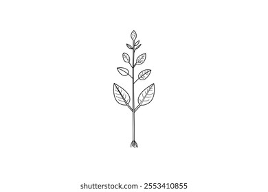 Eco friendly  plant growth journey agriculture  of life cycle single line art design  Illustration