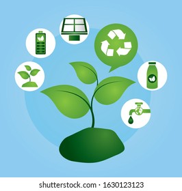 eco friendly poster with plant and set icons vector illustration design