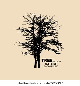 Eco Friendly, Tree design. Vector illustration