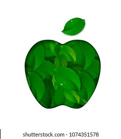 eco fruit concept, green fruit idea, apple created from the green leaves isolated on the white, vector