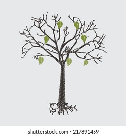 eco graphic design , vector illustration