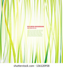 Eco Green Background,vector eps10