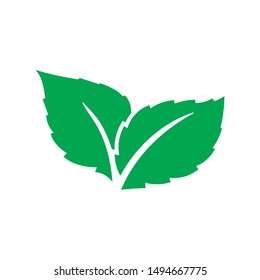 Eco green color leaf vector logo flat icon. Bio plant and tree floral forest concept design. Leaves icon. Elements for eco and bio logos.