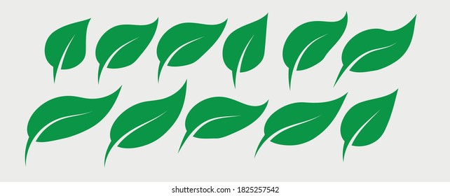 Juego de iconos planos del logotipo del vector de hoja de color verde ecológico. Hojas aisladas sobre fondo blanco. Diseño del concepto de planta de bio y bosque floral arbolado.