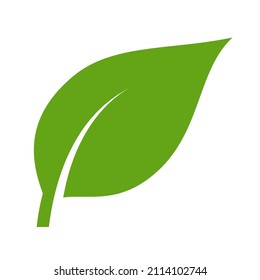 Eco-grüne Farbe Blatt Vektorsymbol flach Symbol. Einzeln Blattform auf weißem Hintergrund. Bio-Pflanzen- und Baumblumenkonzeption.