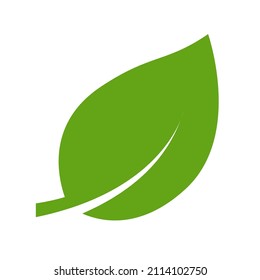 Eco green color leaf vector logo flat icon. Isolated leaf shape on white background. Bio plant and tree floral forest concept design.