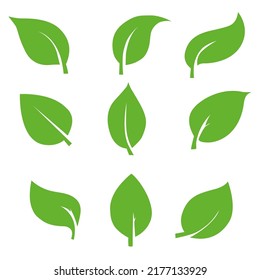 Eco green color leaf vector logo flat icon set. Isolated leaves shapes on white background. Bio plant and tree floral forest concept design.	
