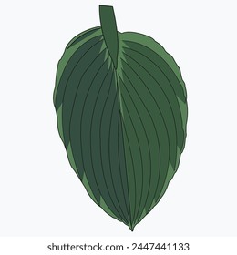 Eco green color leaf vector logo flat icon set. Isolated leaves shapes on white background. Bio plant and tree floral forest concept design.