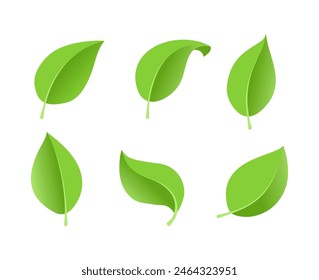 Eco green color leaf vector logo flat icon set. Isolated leaves shapes on white background. Bio plant and tree floral forest concept design.