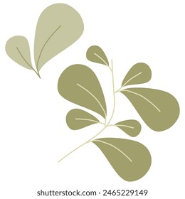 Eco green color Leaf vector logo flat icon set. Isolated Leaves shapes on white background. Bio plant and tree floral forest concept design. Botany Cartoon illustration for Wedding Invitation Design