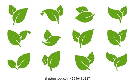Eco green color leaf vector logo flat icon set. Isolated leaves shapes on white background. Bio plant and tree floral forest concept design.