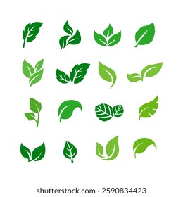 Eco green color leaf vector logo flat icon set. Isolated leaves shapes on white background. Bio plant and tree floral forest concept design