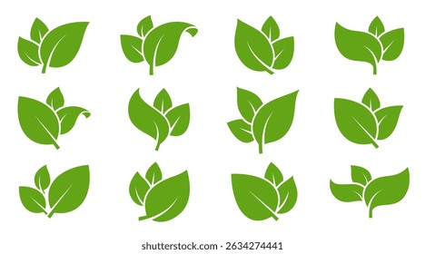 Eco green color leaf vector logo flat icon set. Isolated leaves shapes on white background. Bio plant and tree floral forest concept design.