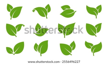 Eco green color leaf vector logo flat icon set. Isolated leaves shapes on white background. Bio plant and tree floral forest concept design.