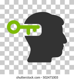 Eco Green And Gray Intellect Key interface pictogram. Vector pictograph style is a flat bicolor symbol on chess transparent background.