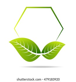 Eco green label concept with leave