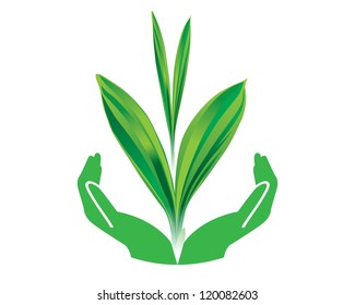 Eco green leaf with hand concept vector