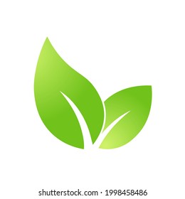 Eco green leaf icon Bio nature green eco symbol for web and business