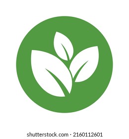 Eco green leaf icon Bio nature green eco symbol for web and business