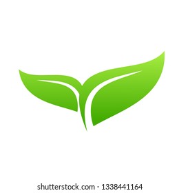 Eco Green Leaf Icon design Vector Illustration