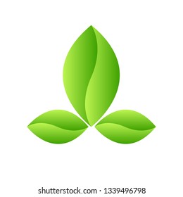 Eco Green Leaf Icon design Vector Illustration