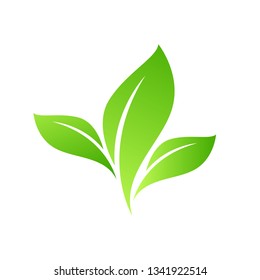 Eco Green Leaf Icon design Vector Illustration