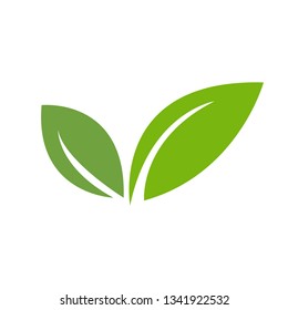 Eco Green Leaf Icon design Vector Illustration