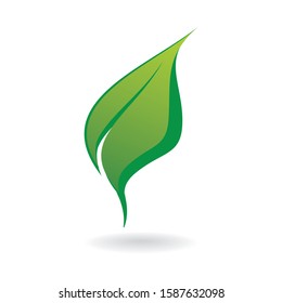 Eco green leaf illustration isolated