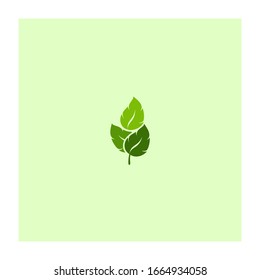 Logo e icono de la hoja verde ecológica. Logo de diseño conceptual para belleza, botánica, orgánica, naturaleza.