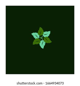 Eco Green Leaf logo and Icon. Concept design logo for beauty, botanical, organic, nature.