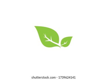 eco green leaf logo template