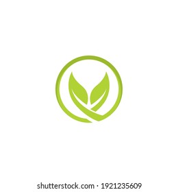 eco green leaf logo vector icon illustration design