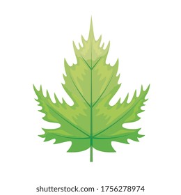 hoja verde ecológica sobre diseño de ilustraciones vectoriales de fondo blanco
