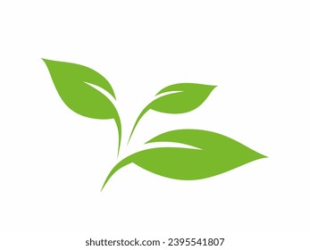 Símbolo de hoja verde ecológico aislado en blanco
