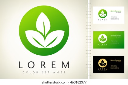  Eco green leaf vector with business card template.