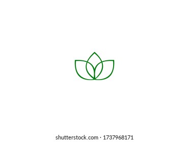 diseño de vectores de hoja verde ecológica