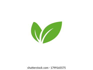 diseño de vectores de hoja verde ecológica