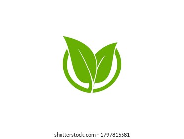 eco green leaf vector icon