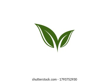 eco green leaf vector ilustration