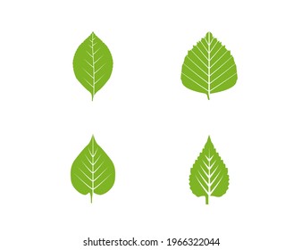 Eco, green, leaves icon set. Vector illustration.
