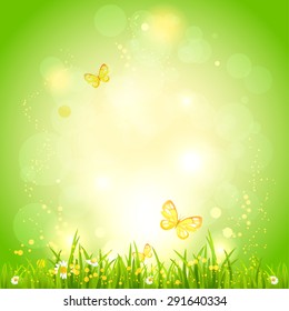 Fondo verde ecológico de verano con lugar para el texto
