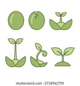 Conjunto de iconos de proceso de semilla de crecimiento ecológico