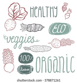 Eco hand drawn lettering and veggies: beetroots and raddish