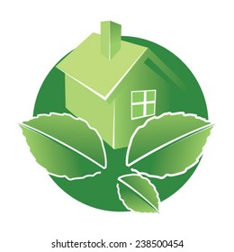 Eco house