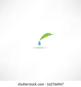 eco icon