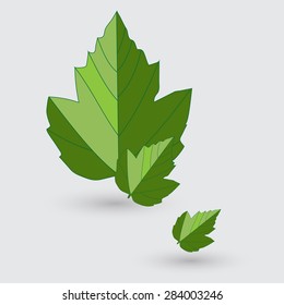 Eco icon